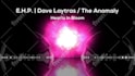 create stunning audio waveform, music visualizer or spectrum