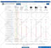 audit your website from a UX perspective