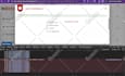 provide QA website testing and app testing