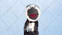 have paulie the penguin crooner create a custom puppet video