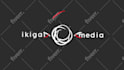 create stunning logo animation or intro