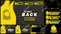 craft professional twitch overlay, stream overlay, mascot logo