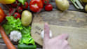 do this cooking video opener intro logo animation for you