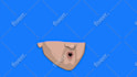make  2d lip sync animations