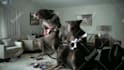do funny short pest control video
