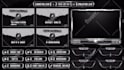 make custom professional animated twitch overlay, twitch stream overlay