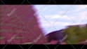 do a professional minecraft animation