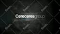 create best 3d logo animation or intro animation