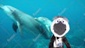 have paulie the penguin crooner create a custom puppet video
