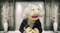 record a doctor or professor puppet video about anything