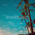 animate album art, cover art creatively
