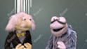 record a doctor or professor puppet video about anything