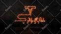 creat an amazing 3d logo animation video intro