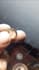 teach you gemology online