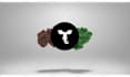 do minimal intro outro logo animation