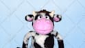 have moorice the cow create a custom puppet video