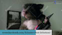 do funny short pest control video