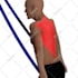 make 3d animations for body exercise