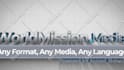 edit logo stings animation from envato elements on after effects