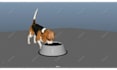 do 3d animation for maya, unity unreal