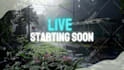 create a full overlay for your twitch
