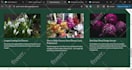 build a squarespace website and blog for you