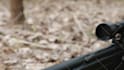 add gun vfx to your video