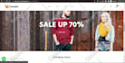 develop a responsive ecommerce wordpress website