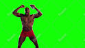 do masking,rotoscope,chroma,green screen,background remove,camera tracking,paint