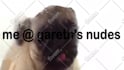 make a pug lick your logo or text only