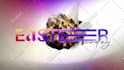 edit any after effects template or make a custom animation
