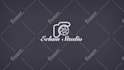 make 3d logo animation videos professionally