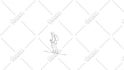 create rotoscope animation from your video