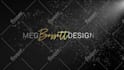create custom logo intro animation