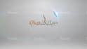 make 10 stunning intro logo animation