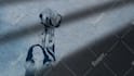 create an animated lyric music video