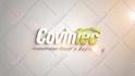 create 3d logo animation or intro video