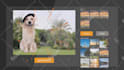edit platform and software product animations videos