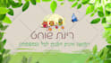 make an amazing forest nature logo