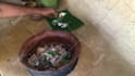 make natural village cooking video for your youtube