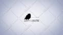 make a professional bumper for your brand, youtube, your company, your community