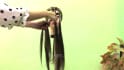 create braiding and any hair styling tutorials