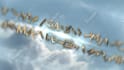 create this epic cinematic book trailer, teaser promo video