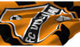 create a 100 percent realistic waving flag of your logo