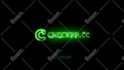 create a professional custom logo animation or intro