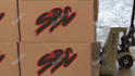 create professional logistics, warehouse, and trucking promo video ads