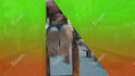 add 3d text, title animations, subtitles and transitions in your video