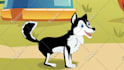 create 2d character animation and cartoon animation video