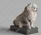 3d model your pet for 3d print