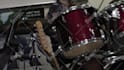 create fast glitch stomp promo or opener video